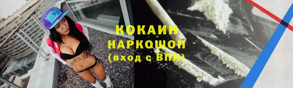 МДПВ Новозыбков
