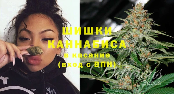 МДПВ Новозыбков