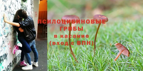 прущий лед Нея