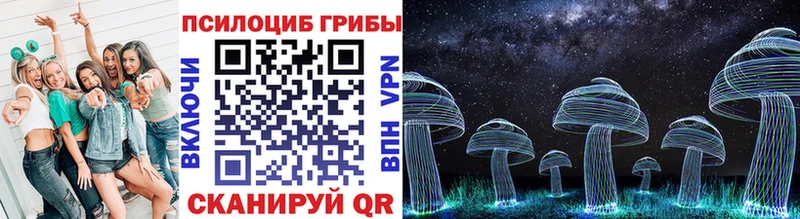 дарк нет Telegram  Тавда  Галлюциногенные грибы Magic Shrooms  закладка 