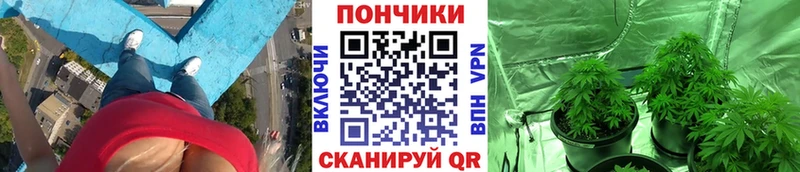 дарк нет официальный сайт  Тавда  Конопля тримм 